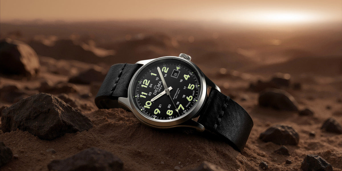 DELMA Commander with black dial in dunes