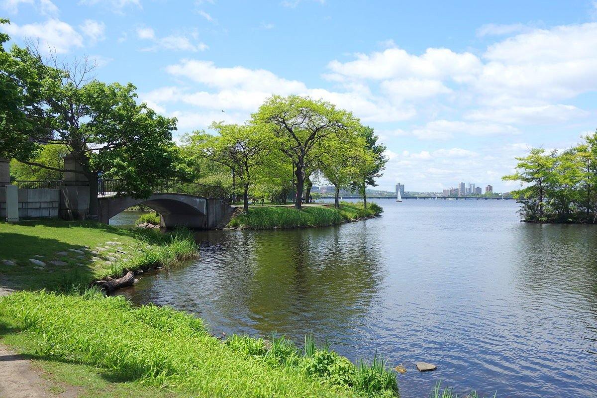 Cambridge - Delma Watch Ltd.