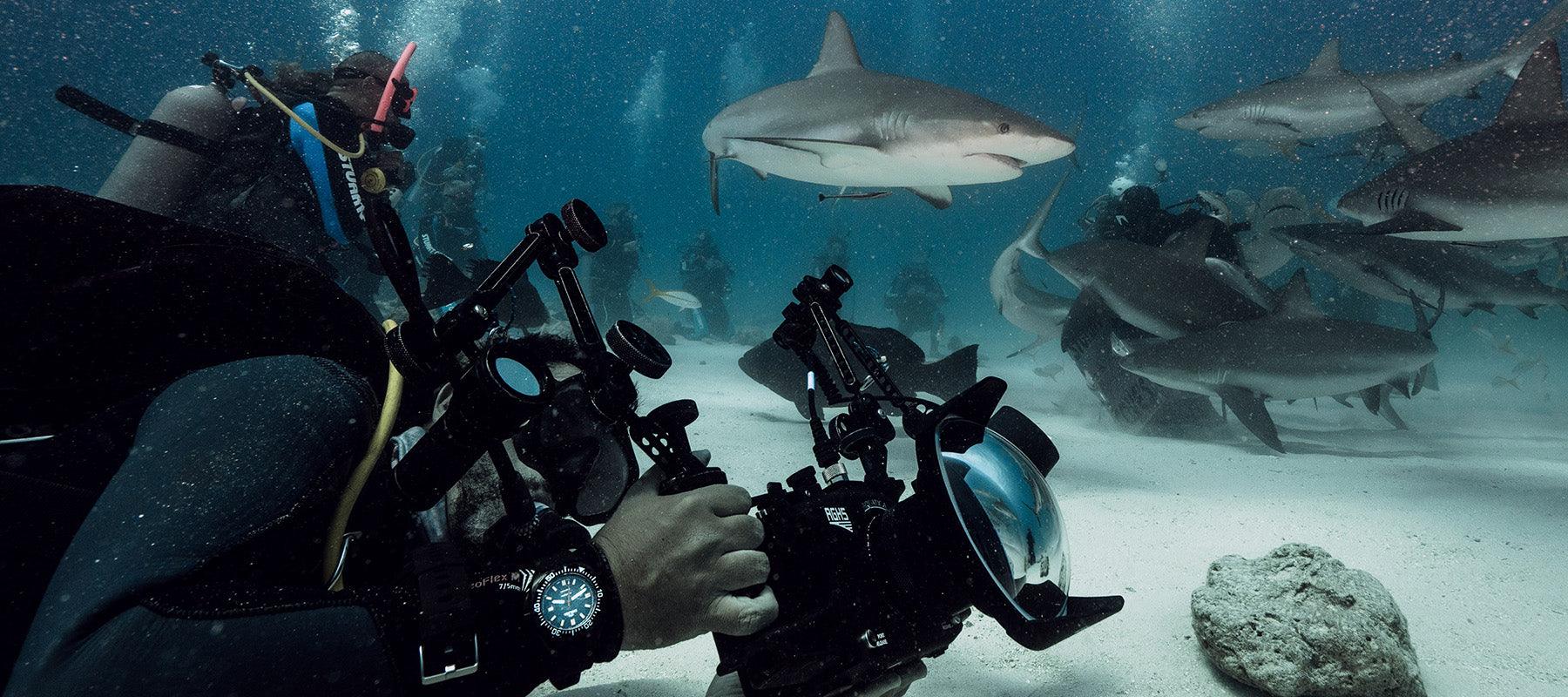 Shell Star Black Tag