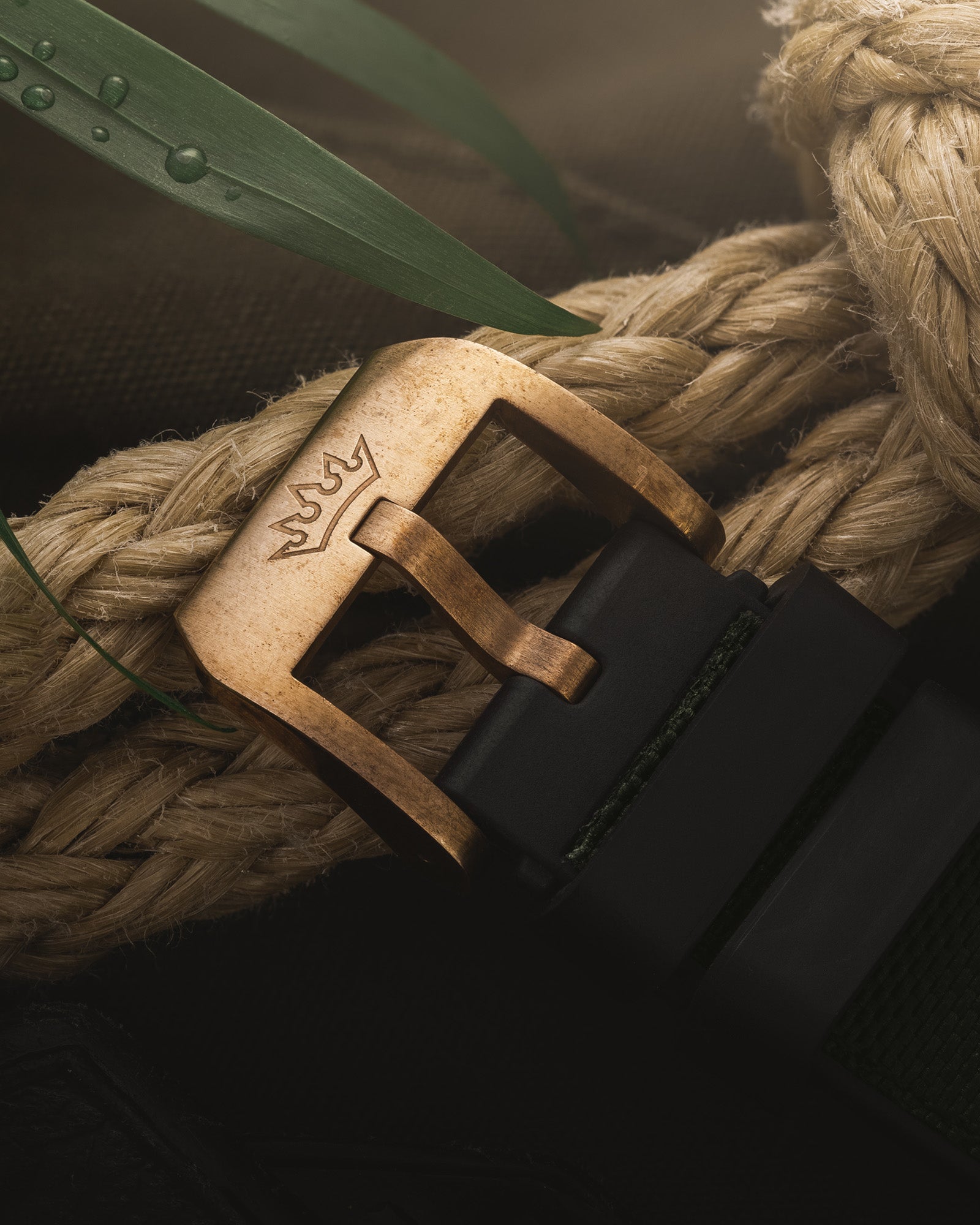 DELMA Cayman Bronze buckle