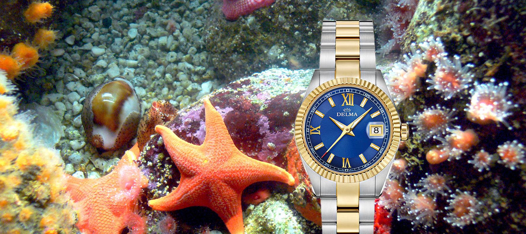 Sea Star 29 mm