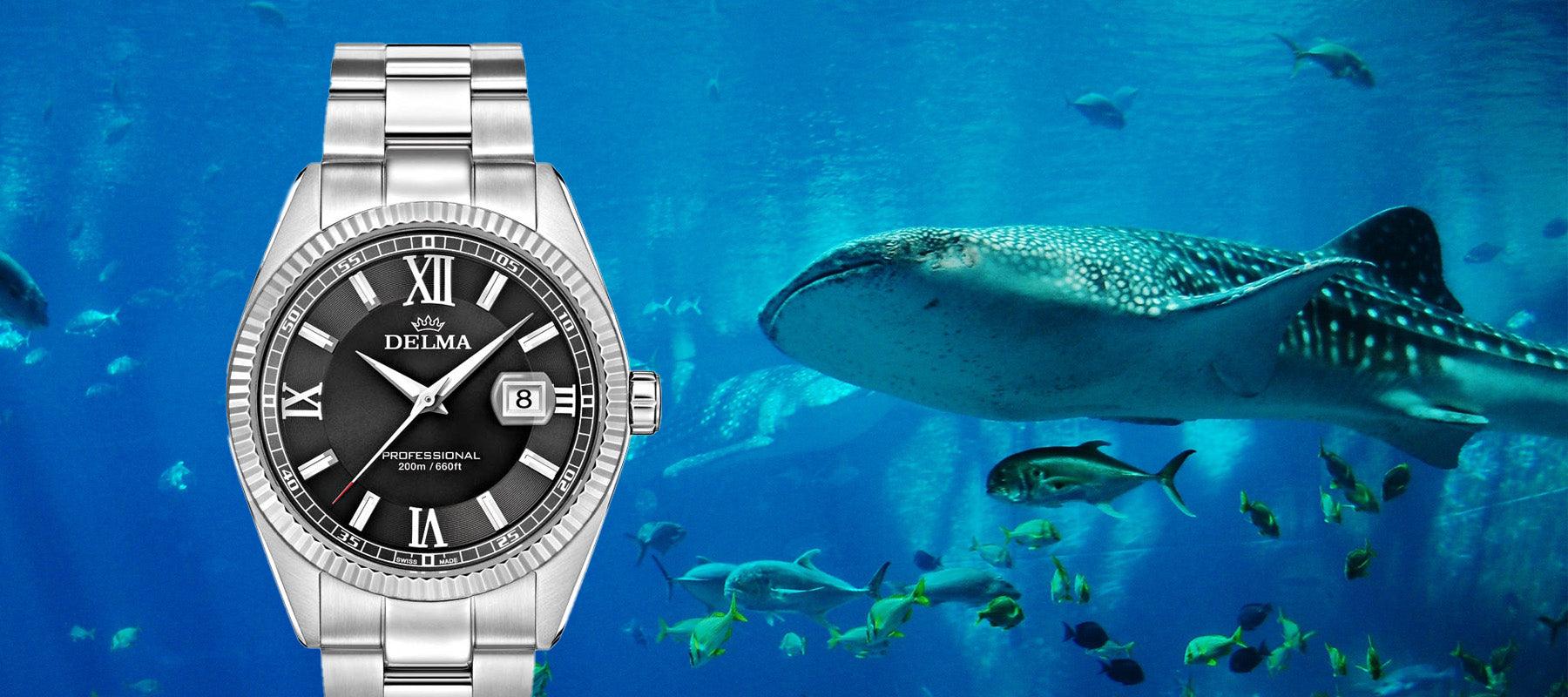 Sea Star 42 mm