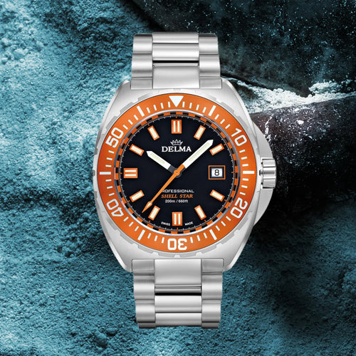 Shell Star Coin Shell DELMA Shell Star Collection