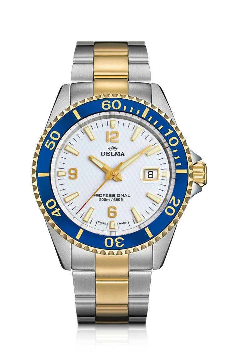 Santiago - Delma Watch Ltd.