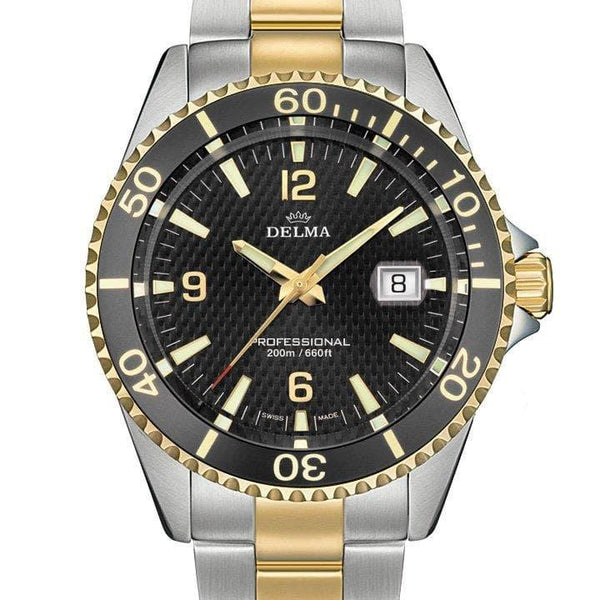 Delma watch price hot sale